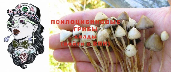 дживик Алзамай