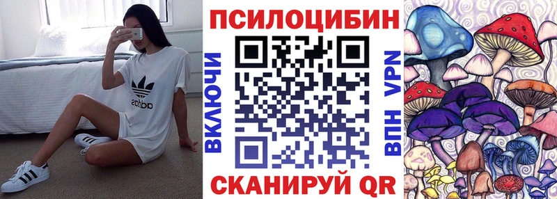 купить закладку  кракен рабочий сайт  Псилоцибиновые грибы ЛСД  Сольвычегодск 